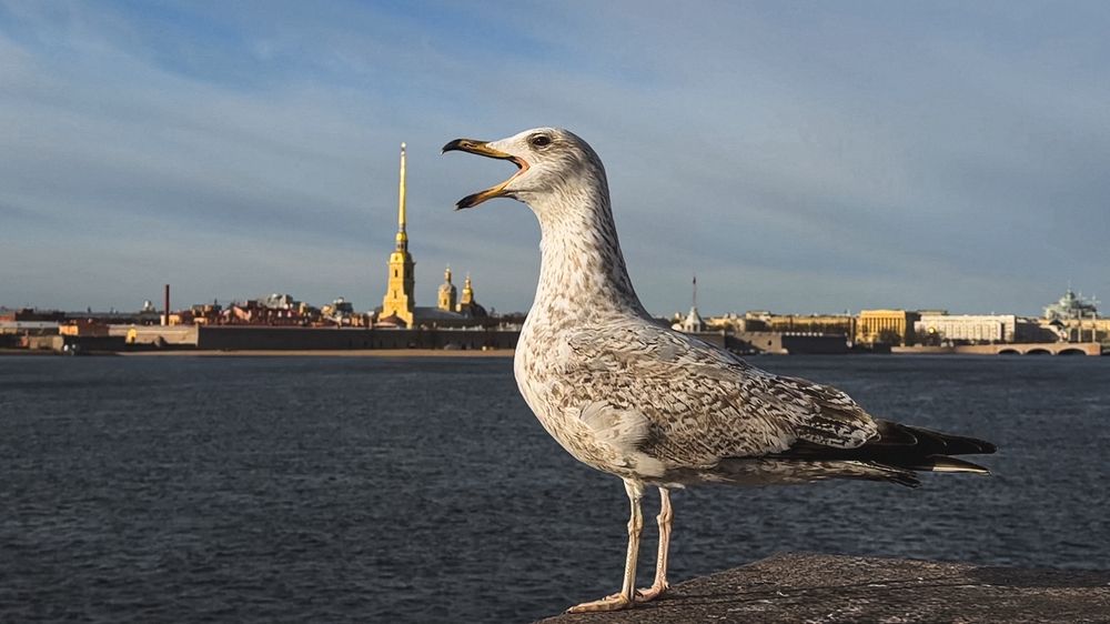 Photograph by Марина Коваленко