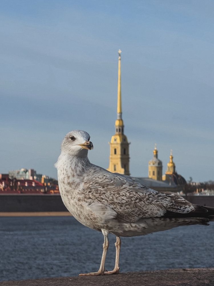 Photograph by Марина Коваленко
