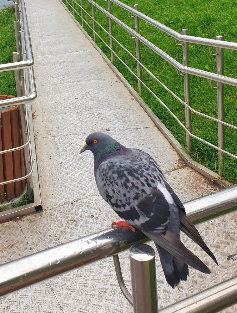 Photograph by Дмитрий Сорокин