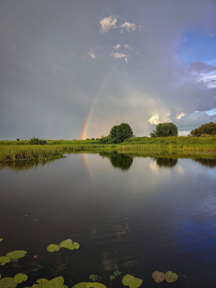 Photograph by Владимир Коновалов