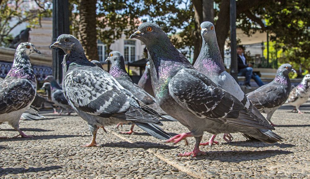 Photograph by Marina Martorelli