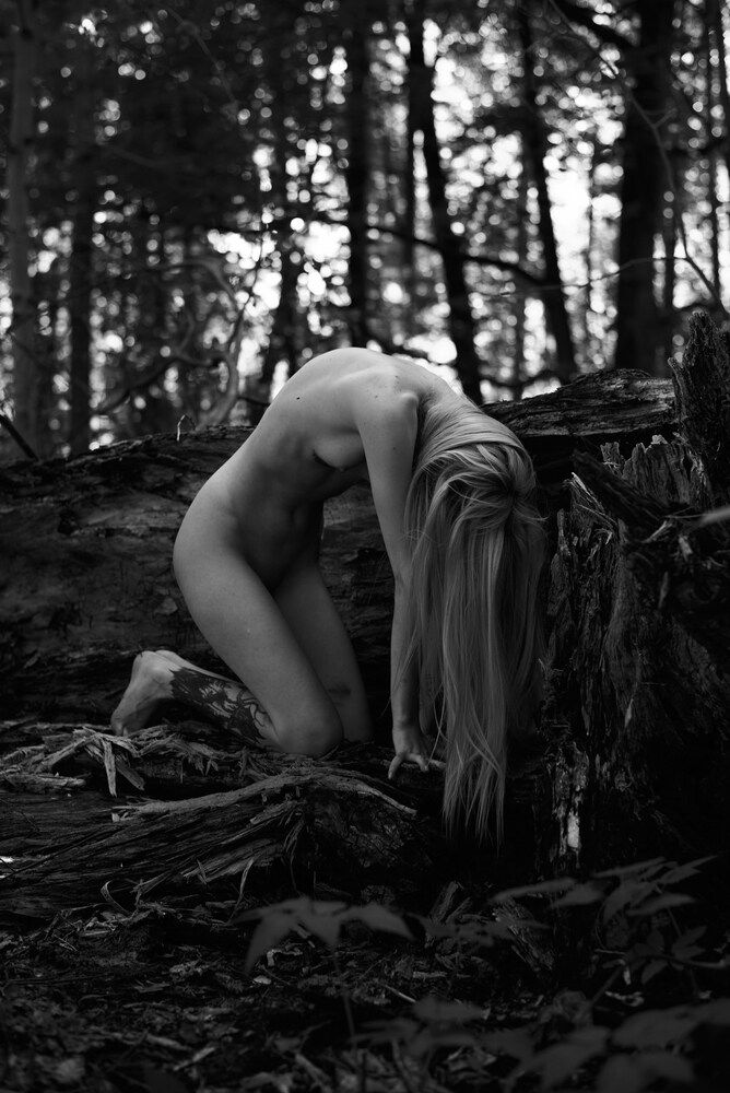 Photograph by Артур Каюков