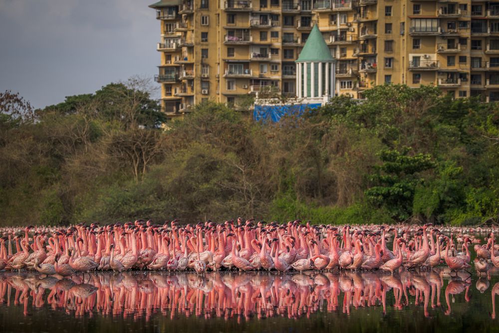Photograph by Sandeep Shroff