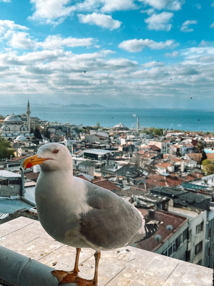 Photograph by Екатерина Валиуллина