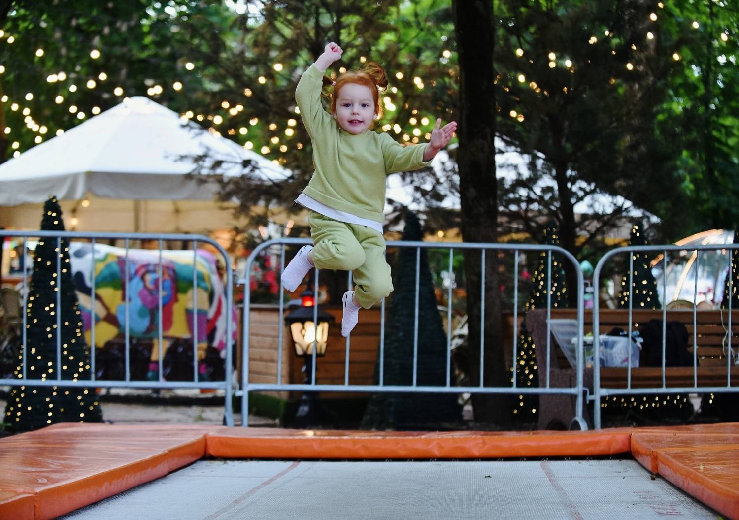 Photo #13709405