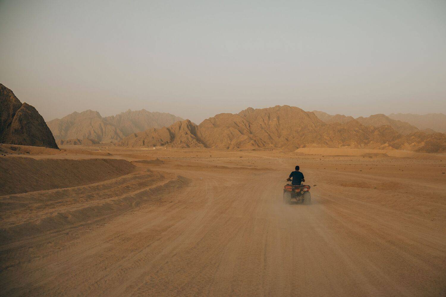 Photo #13709456