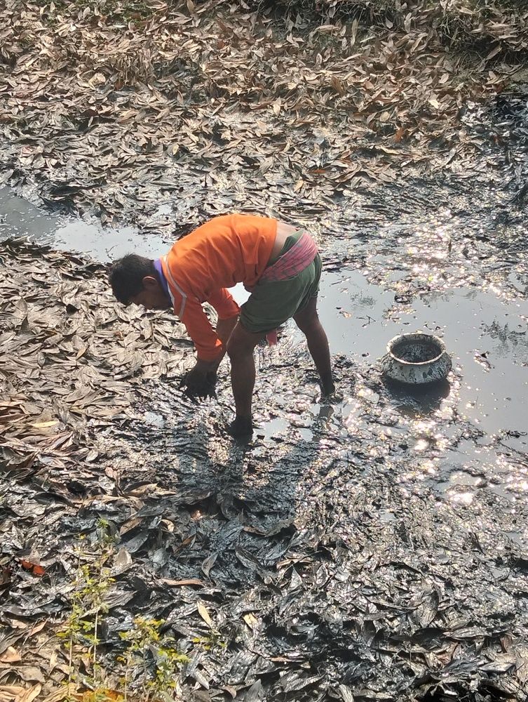 The Rhythm of Rural Labor