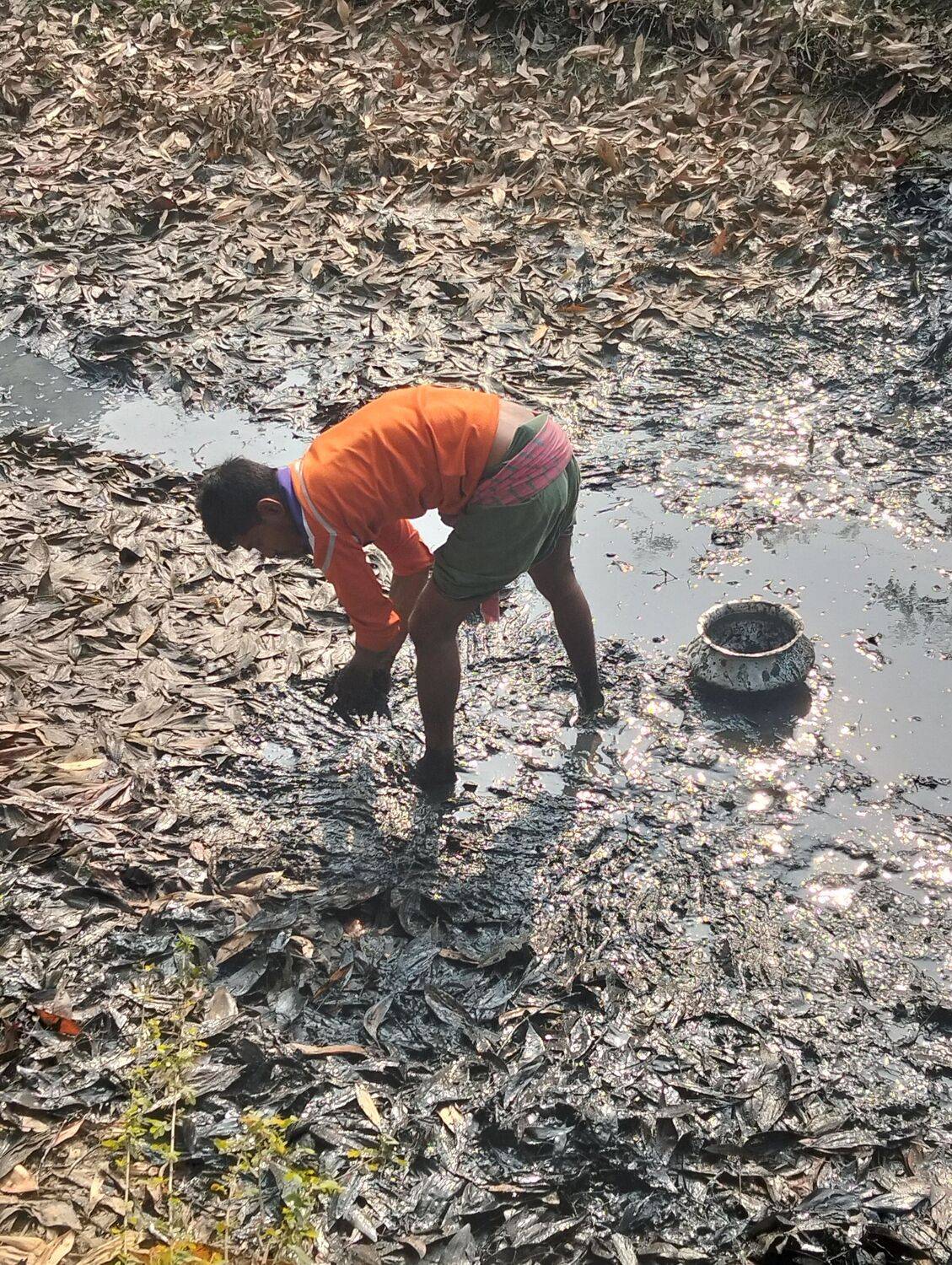 The Rhythm of Rural Labor