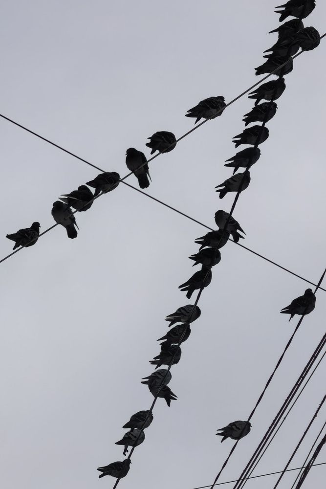 Photograph by Елена Охапкина