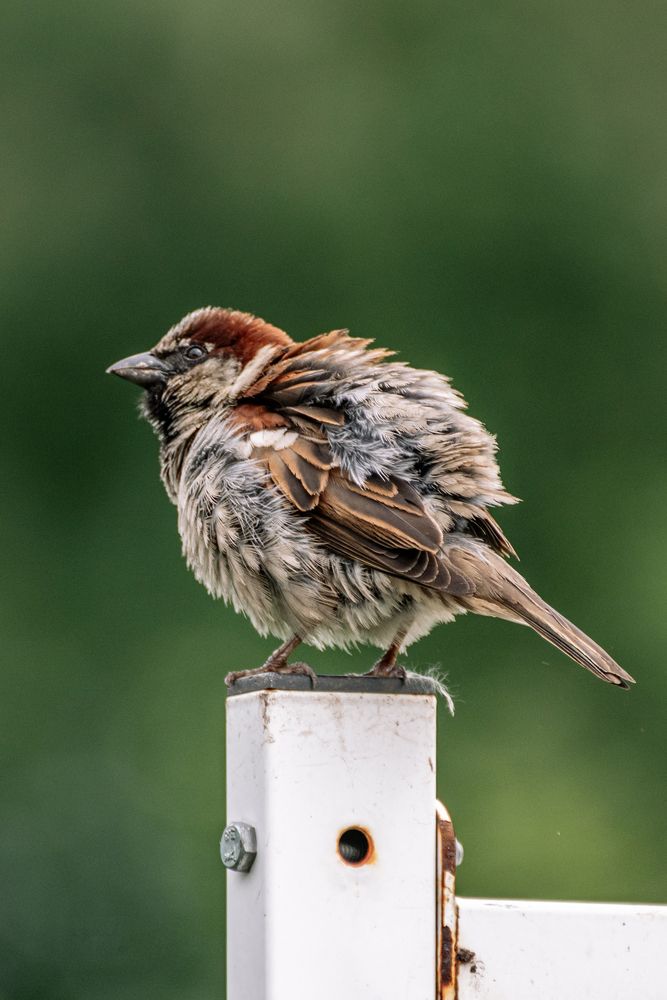 Photograph by Дмитрий Заворыкин