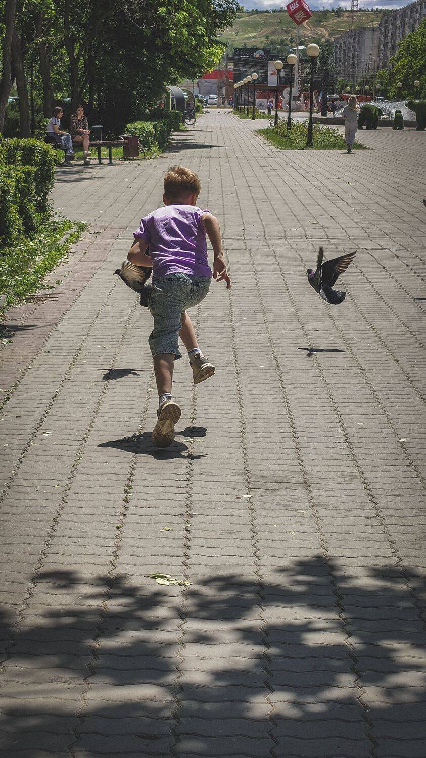 Photo #13709575
