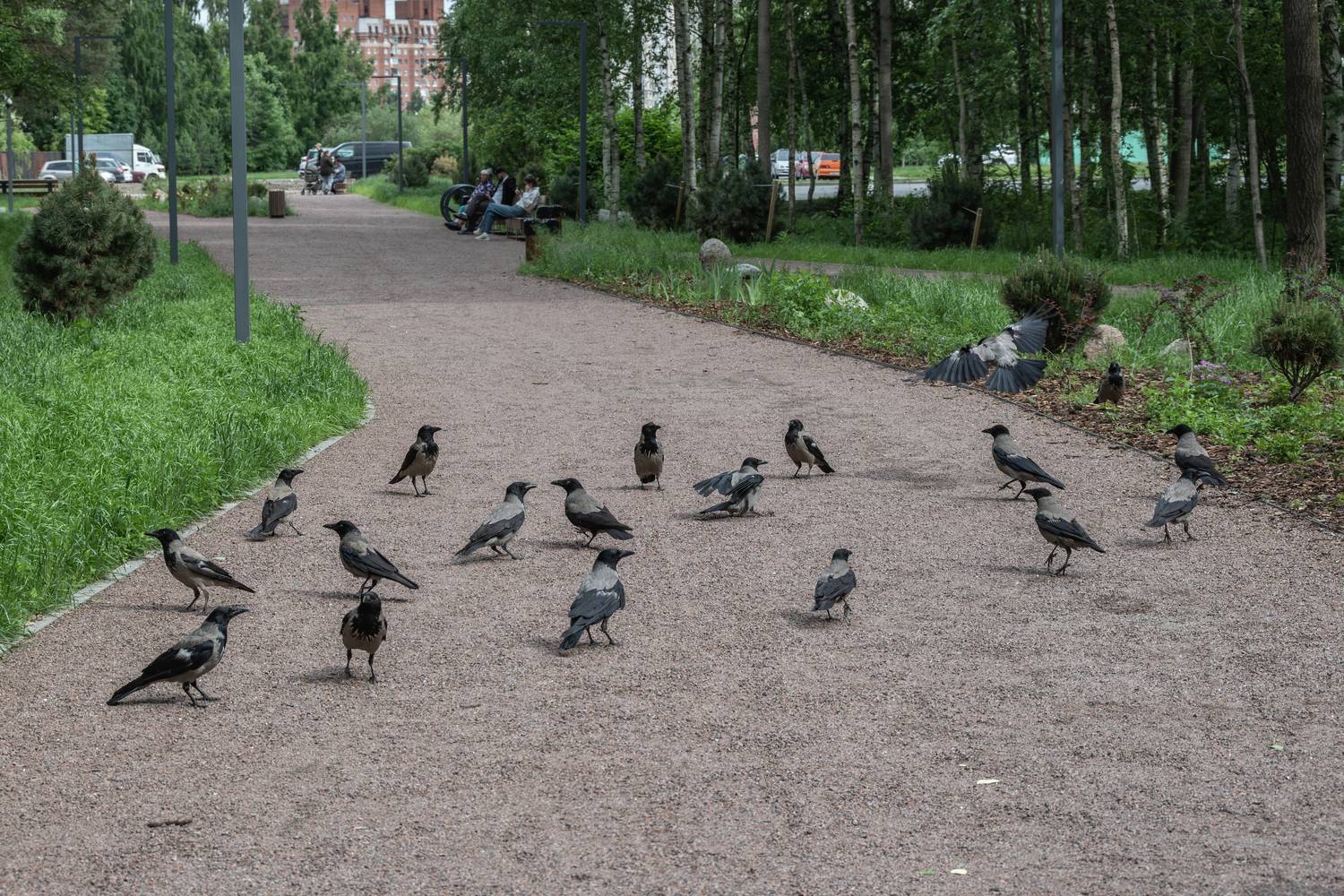 Вороний парламент