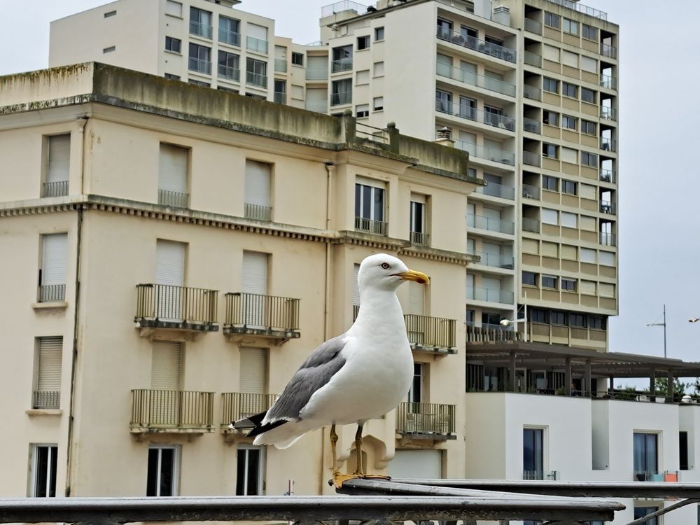 Photograph by Doucet