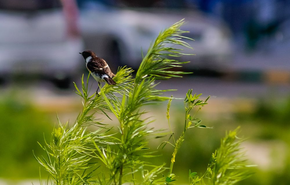 Photograph by Виктор Сёмушкин