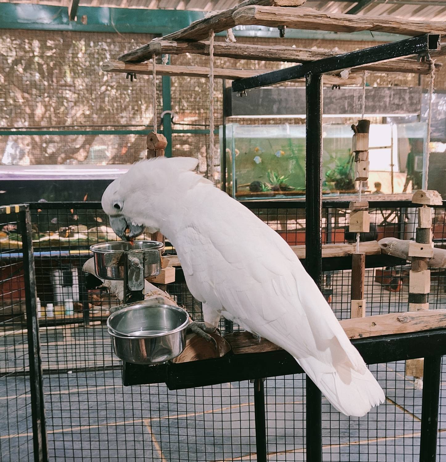 Photo #13709636