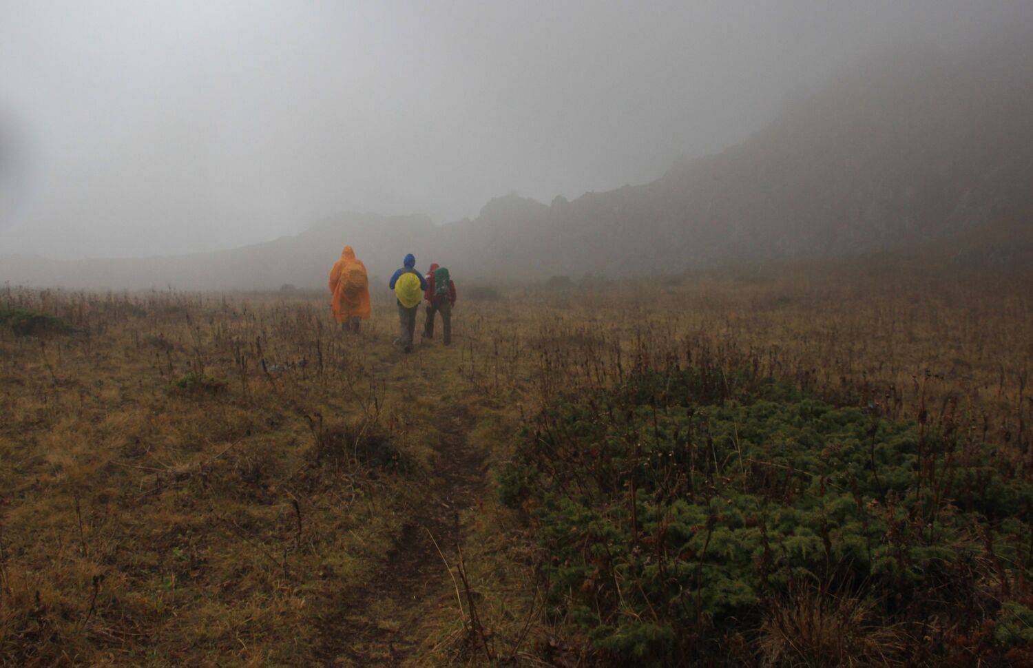 Photo #13709673
