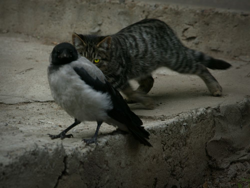 Photograph by Олег Красиков