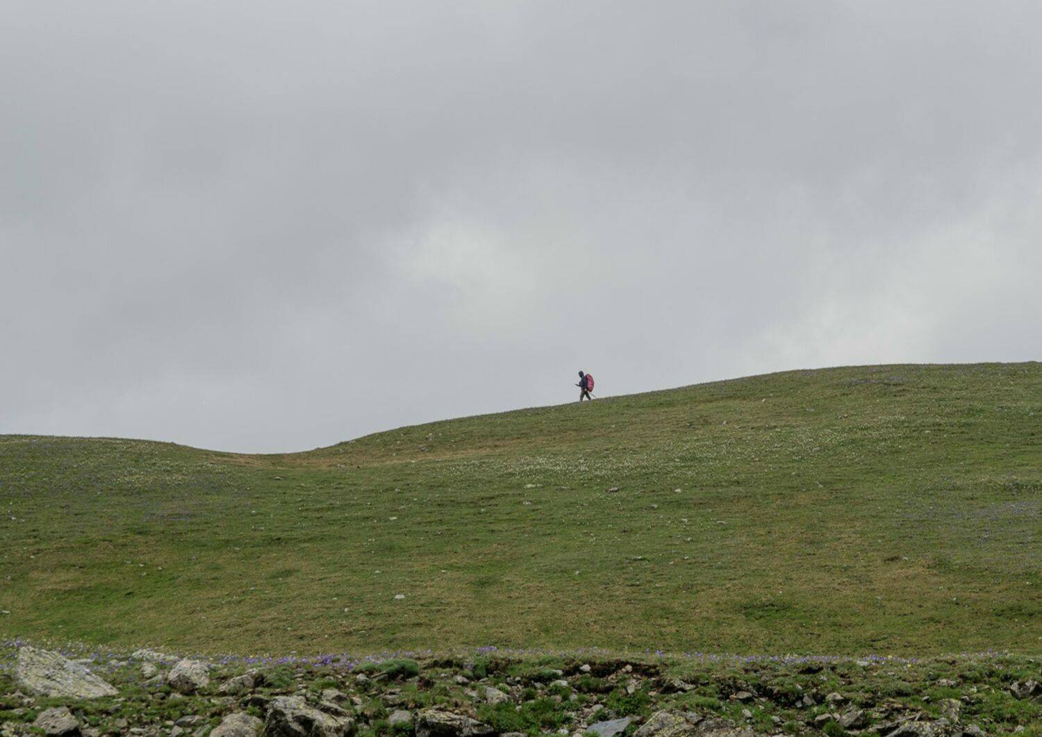Photo #13709936