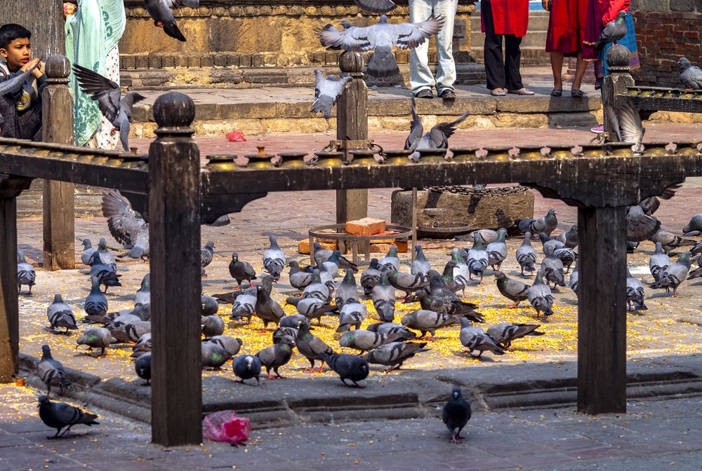 Фотография автора Kirti Kishor Joshi