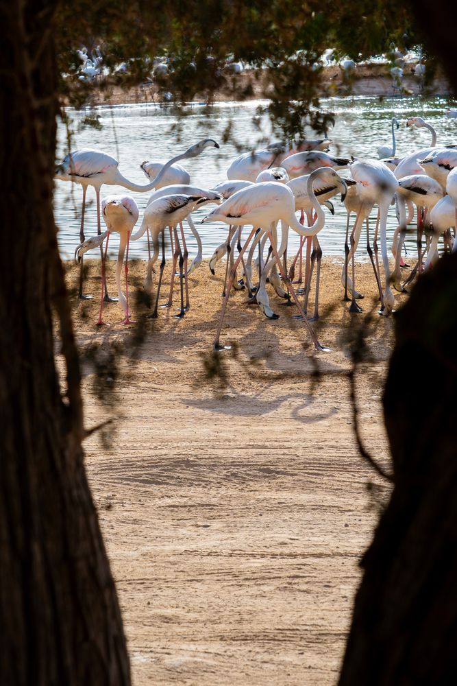 Photograph by Mohsen Naranjani