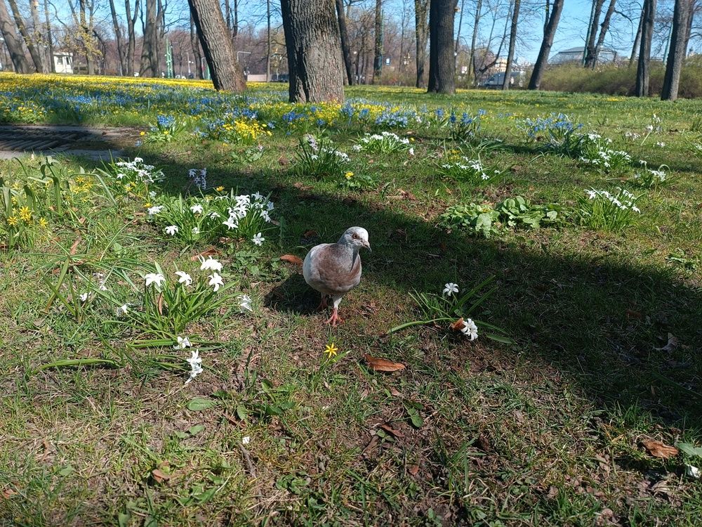Photograph by Крайнова Татьяна