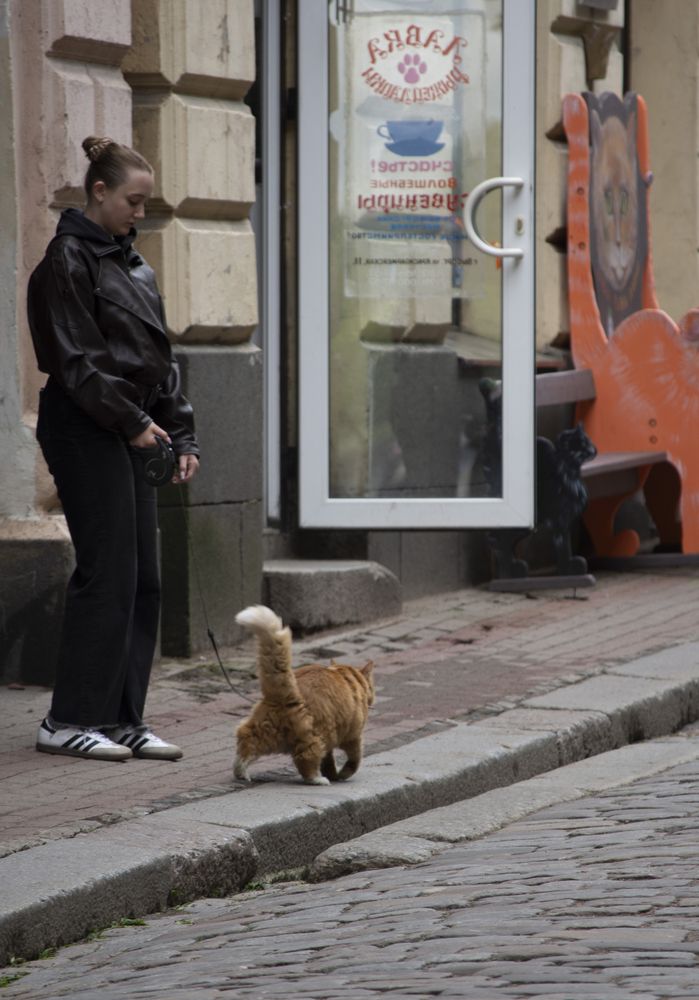 Photograph by Елена Фурашова