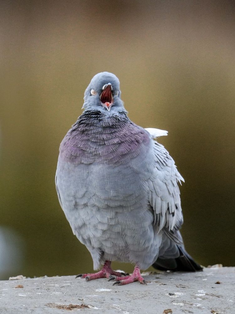 Photograph by Алексей Морозов