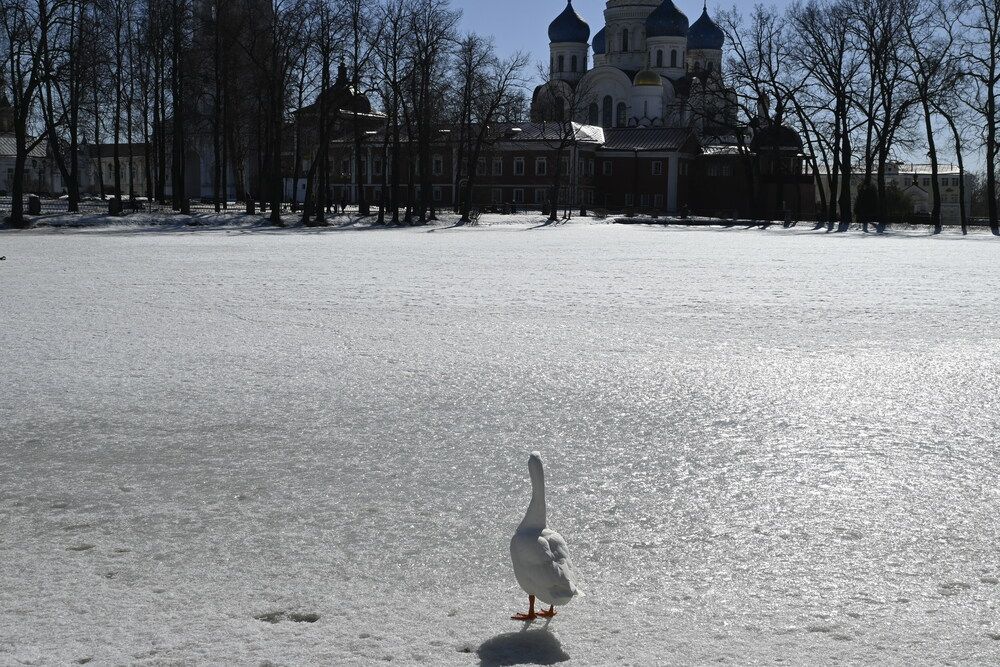 Photograph by Екатерина