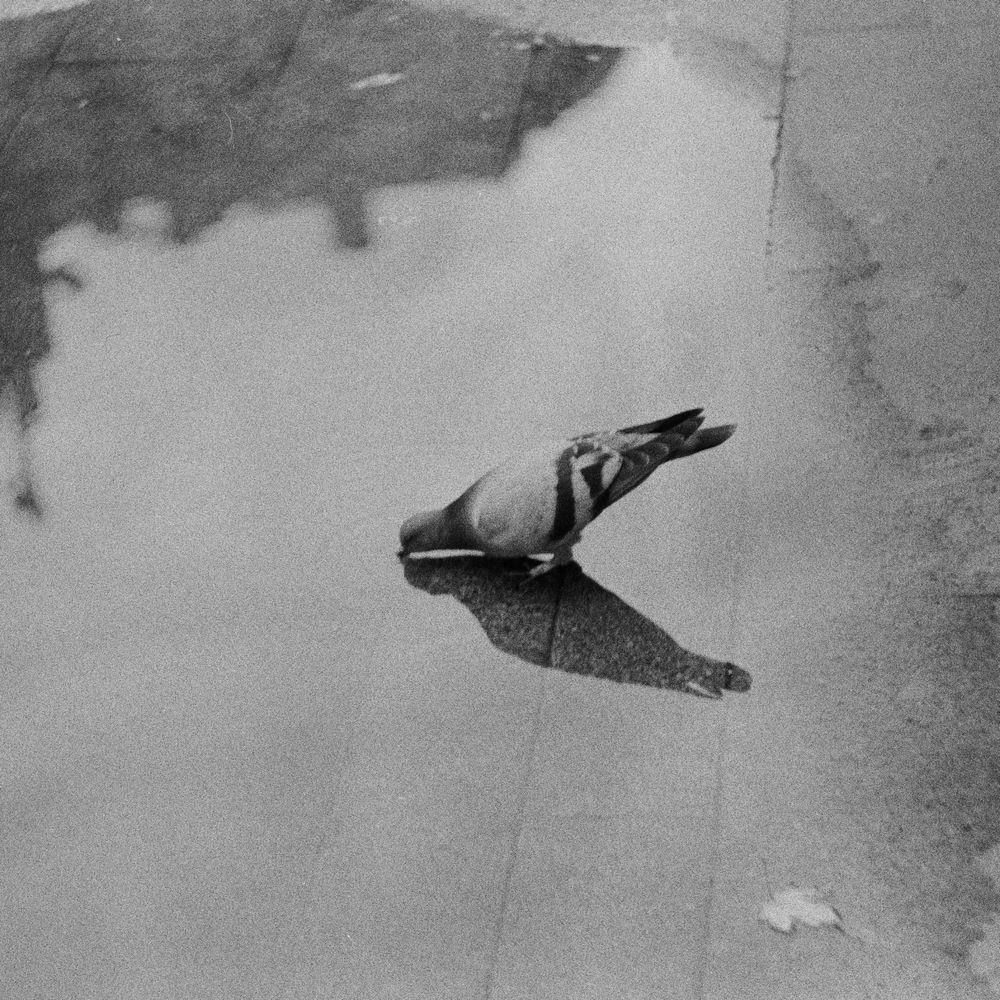 Photograph by Андрей Рябов