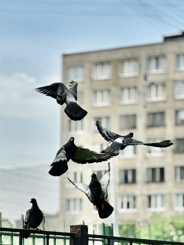 Photograph by Титаренко Людмила