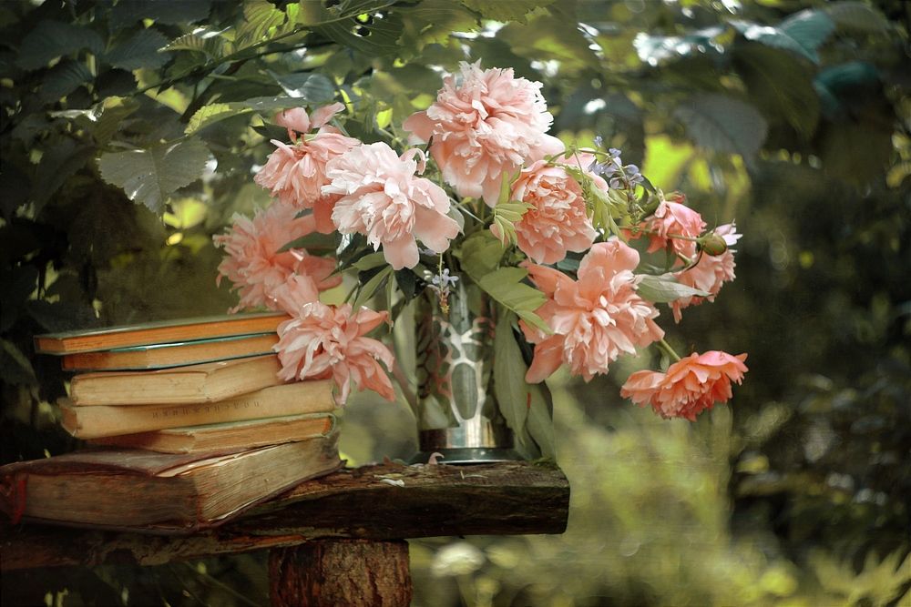 Photograph by Валентина Евсеева