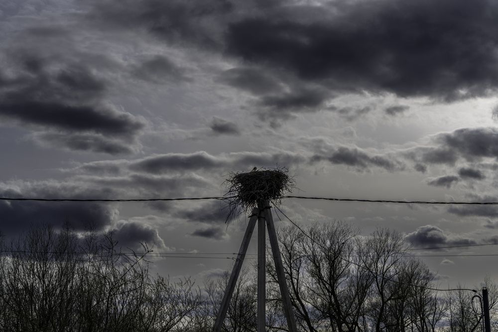 Photograph by Андрей Соколов