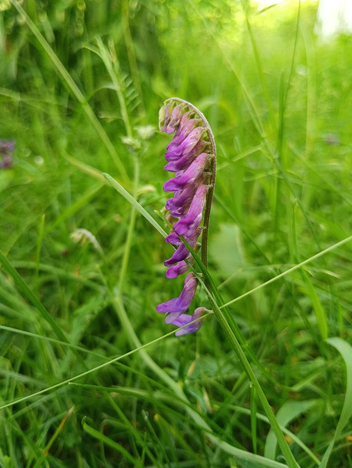 Photo #13710421