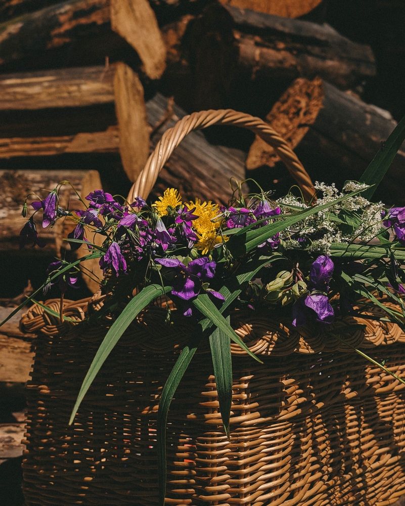 Photograph by Екатерина Савеня