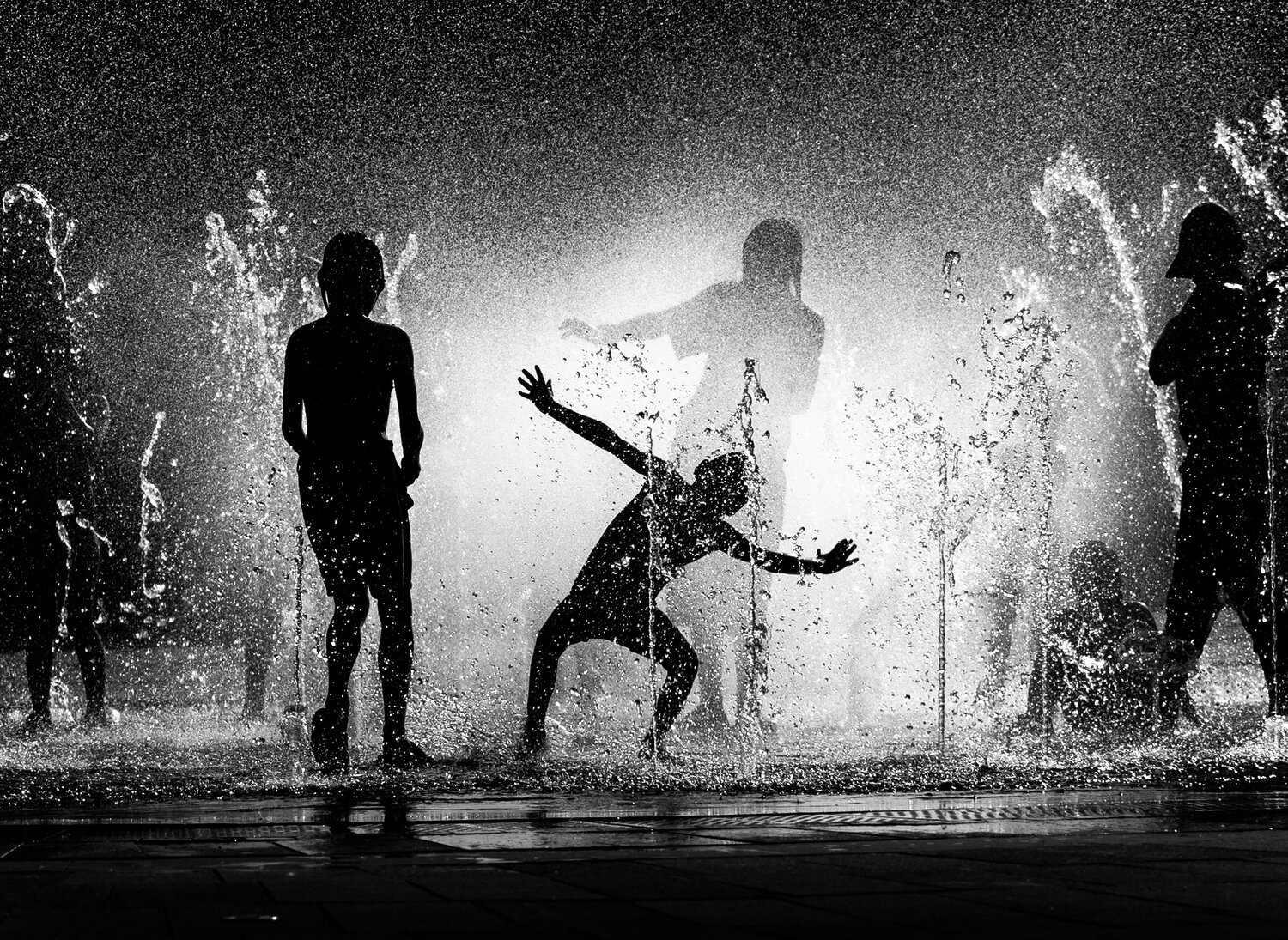 Photo #13710564