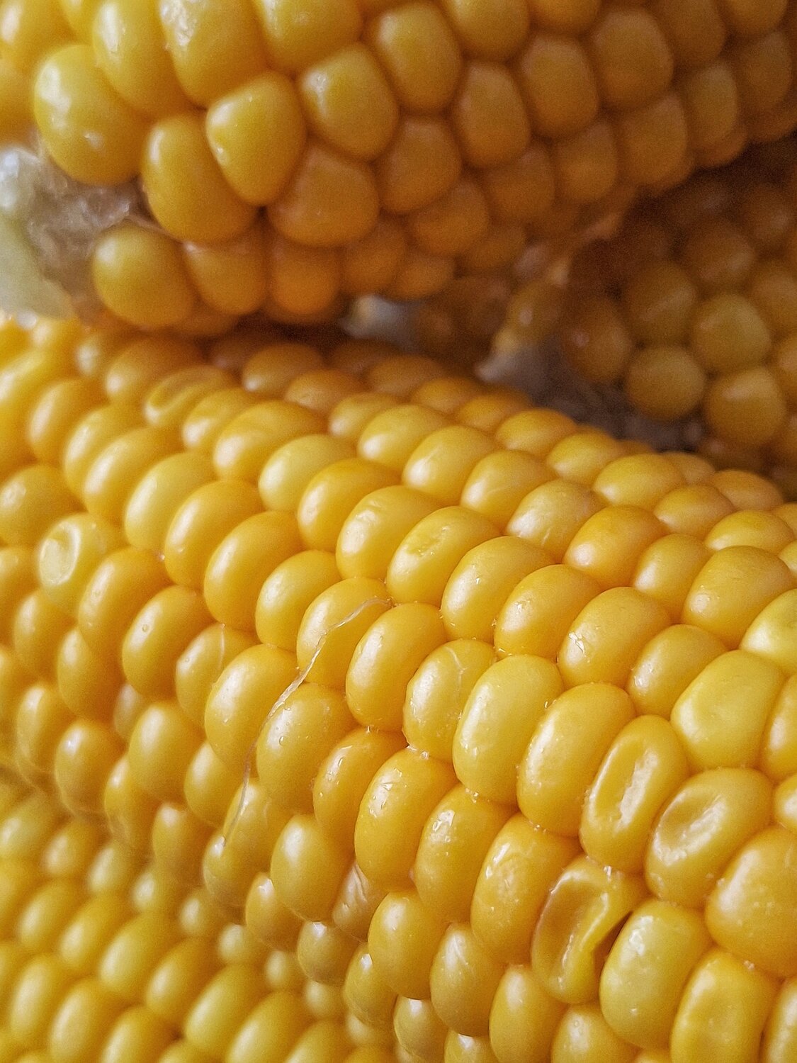 Фотография #13710594