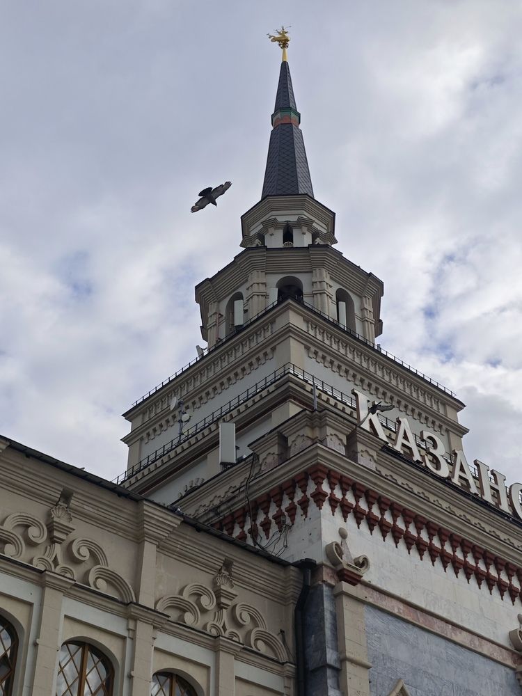 Photo #13710646