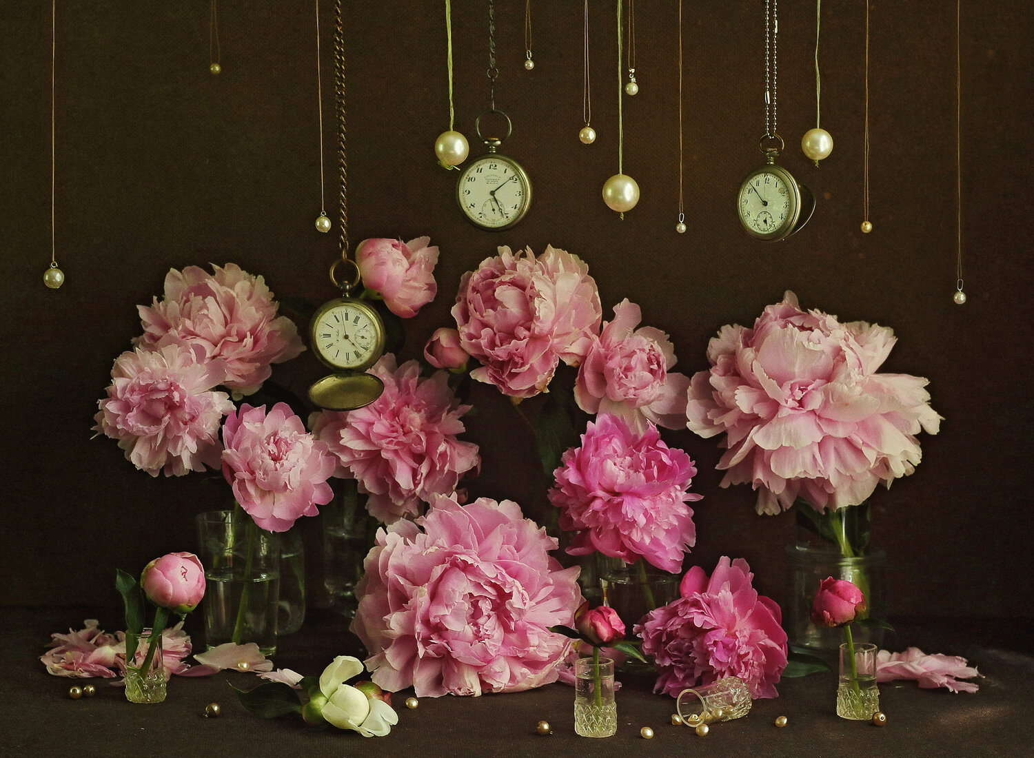 Photo #13710661