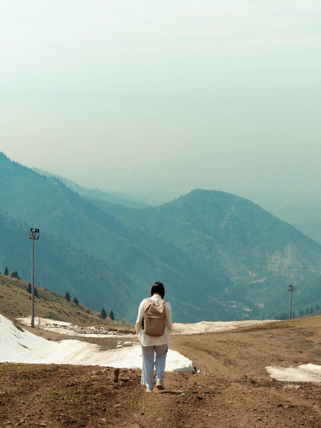 Photo #13710675
