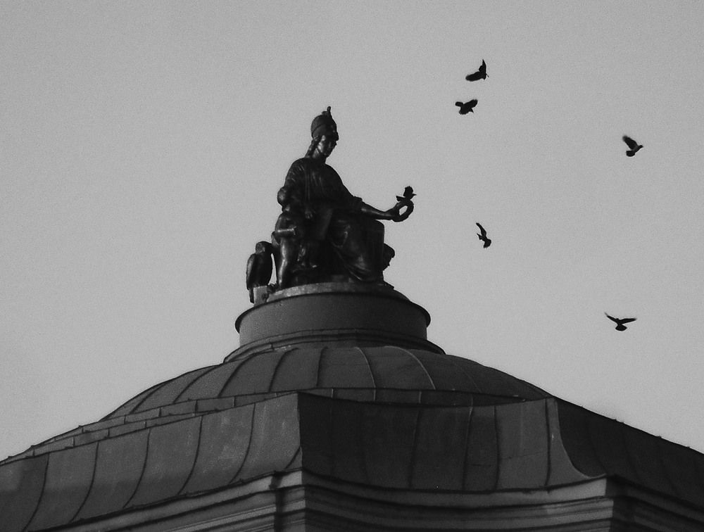 Photo #13710686
