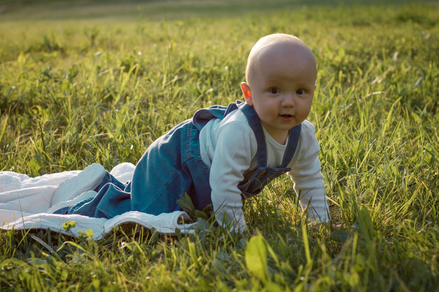 Photo #13710791
