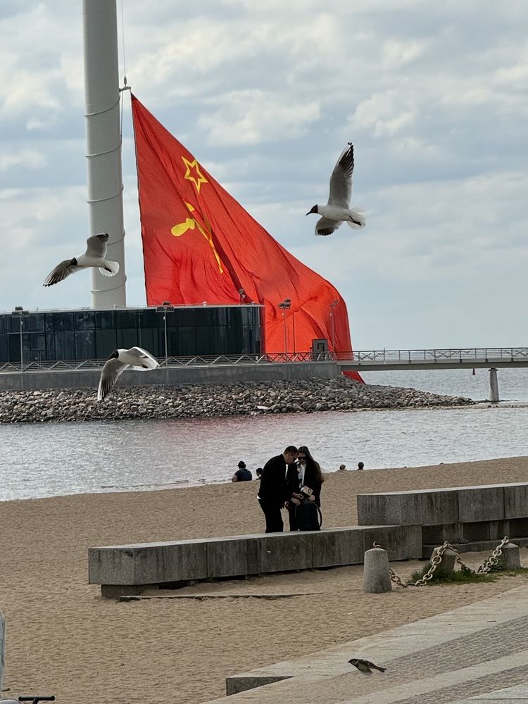 Photograph by Ирина Сорока