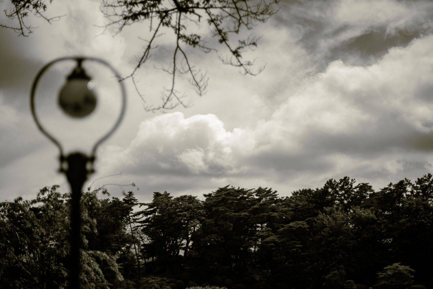Photo #13710903