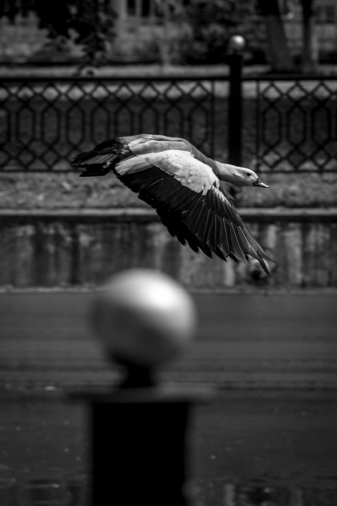 Photograph by Сергей Коклин