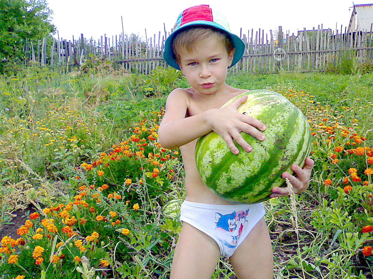 Photo #13711054