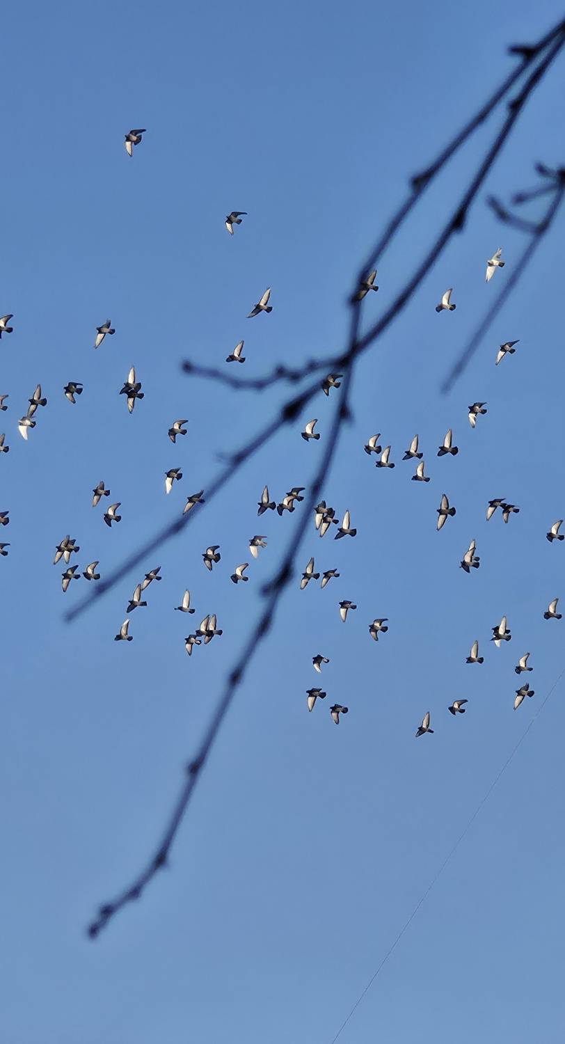 Photo #13711127