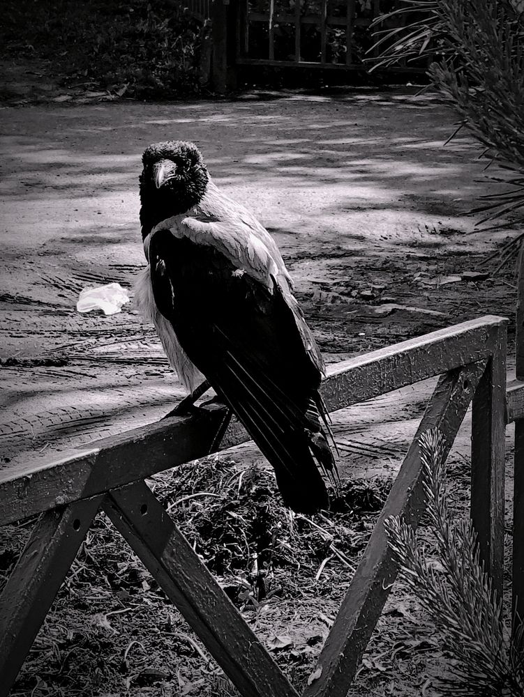 Photograph by Иван ЖУКОВ