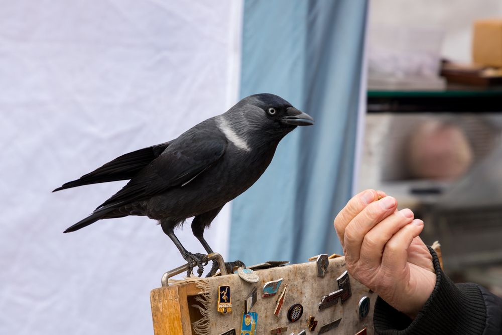 Photograph by Евгений Балакин