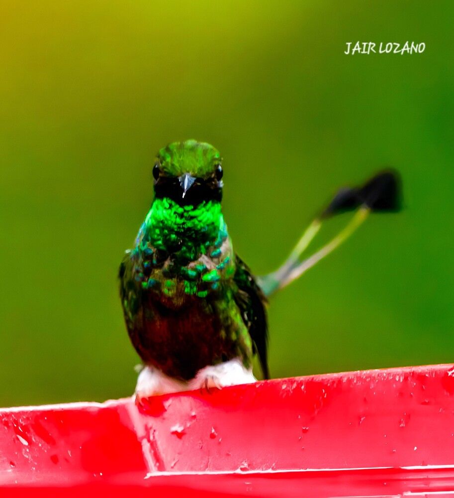 Photograph by Jair Lozano