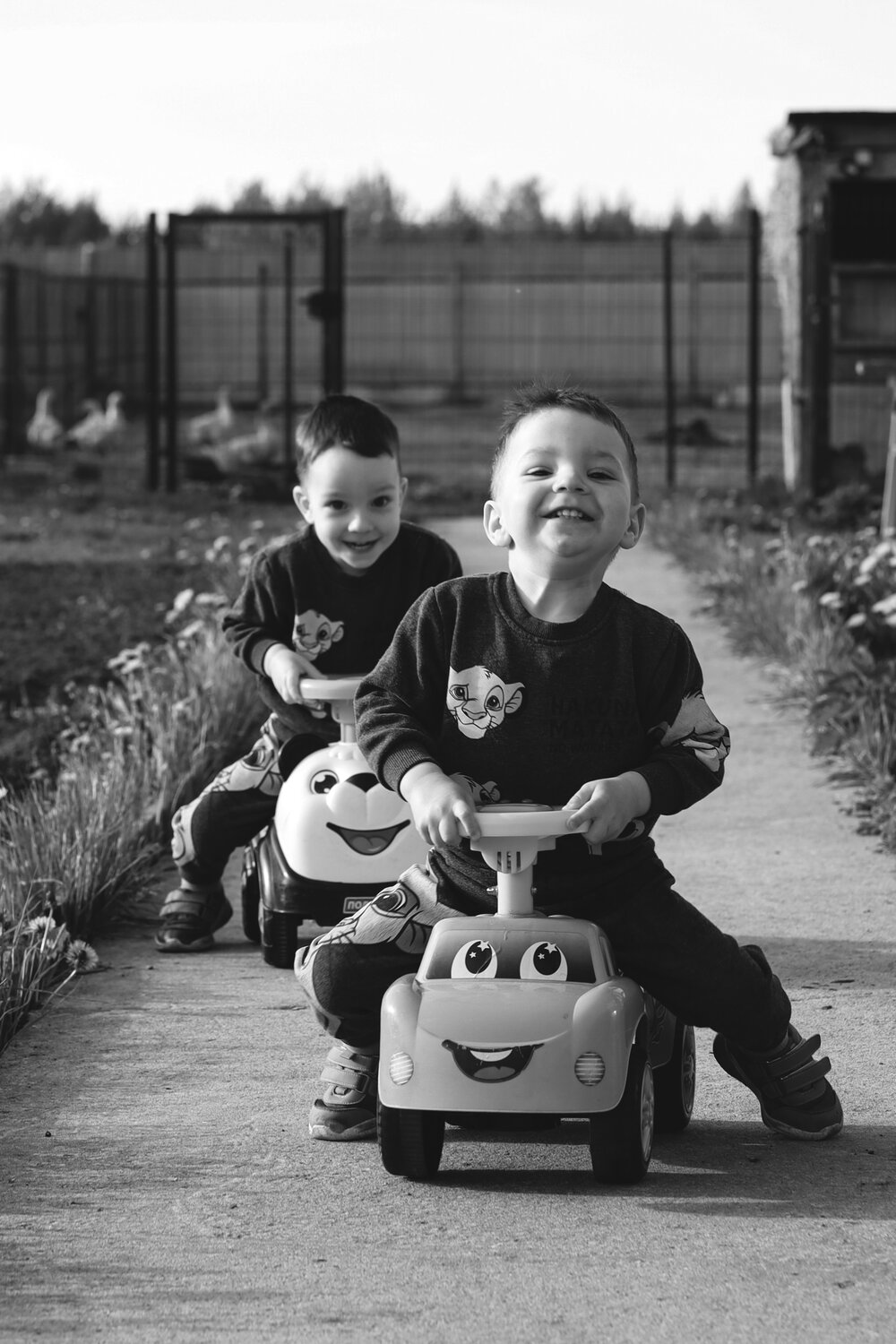 Photo #13711303